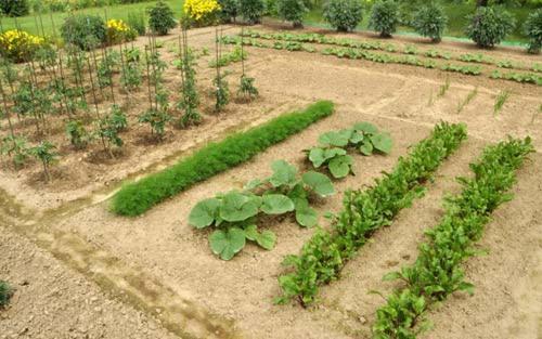 Villa Margarita'S Farm, Private Pool Malathiros ภายนอก รูปภาพ